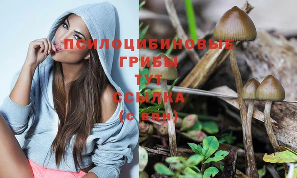 прущий лед Белоозёрский